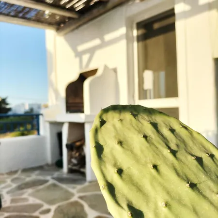 Angelina Greek House شقة باروس