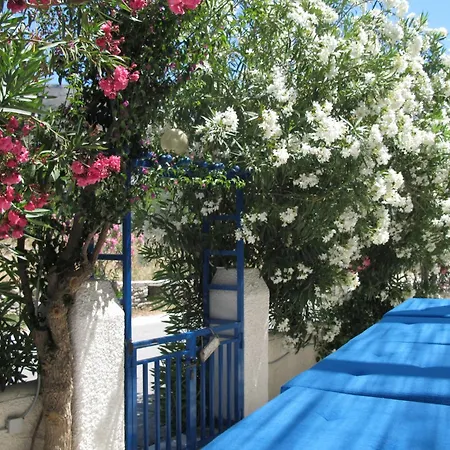 Lejlighed Angelina Greek House